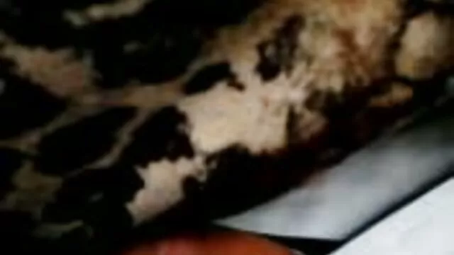 الحصول على أموال ليتم حفظها من الجنس افلام اجنبية سكس عربي
