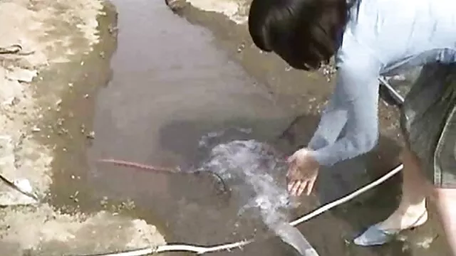 أنا وضعت تضيق فتاة مع مقاطع افلام اجنبية سكس قضيبي