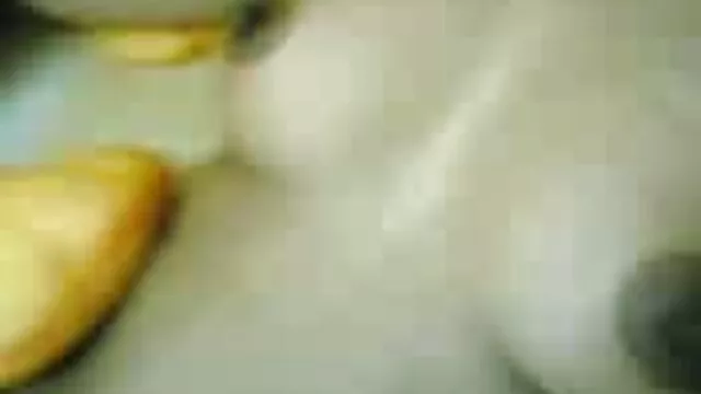 العاهرة, نظارات, بوف نظموا مشاهد ركوب على سكس افلام اجنبيه وعربيه وفيديوهات ومشاهده الديك