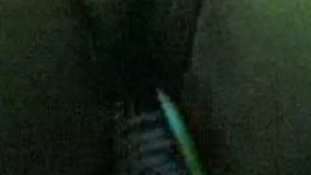 امرأة سمراء الساخنة احلى افلام سكس اجنبي انجليكا الغراب
