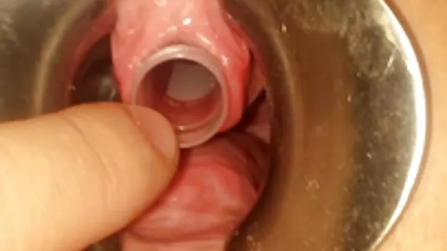 الحصان السمين افلام سكسيه اجنبيه رومانسيه اللعين!
