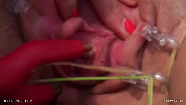 عطلة نهاية الأسبوع سكس اجنبية مجانية هي لممارسة الجنس!