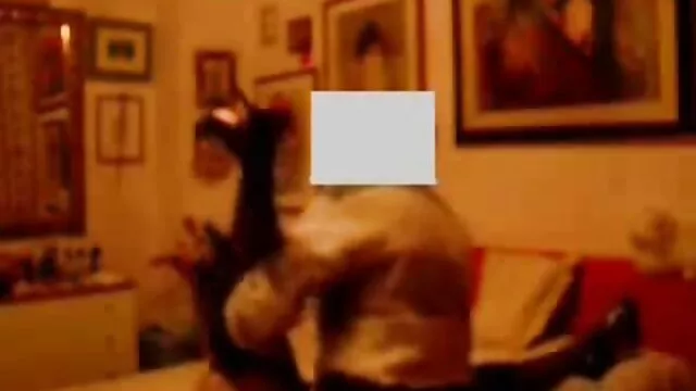مثلية افلام سكس اجنبي اكشن العاطفة